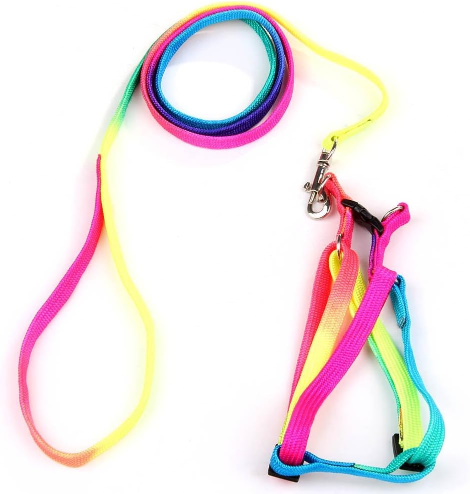 rainbow cat harness