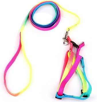 Yueton Adjustable Nylon Leash - Rainbow Dog Chest Straps Chain - Seven Color Traction Thoracic Dorsal Suits Kitty Rope Leash