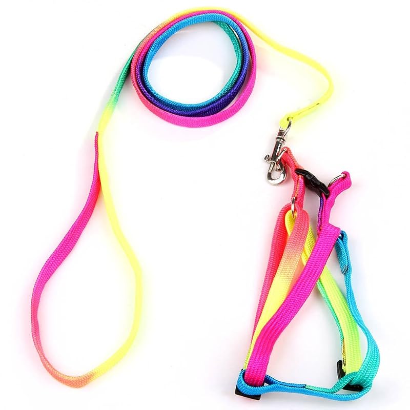 Guia com Peitoral Ajustável para Cães Pequenos e Gatos, Nylon, Rainbow, 120 cm