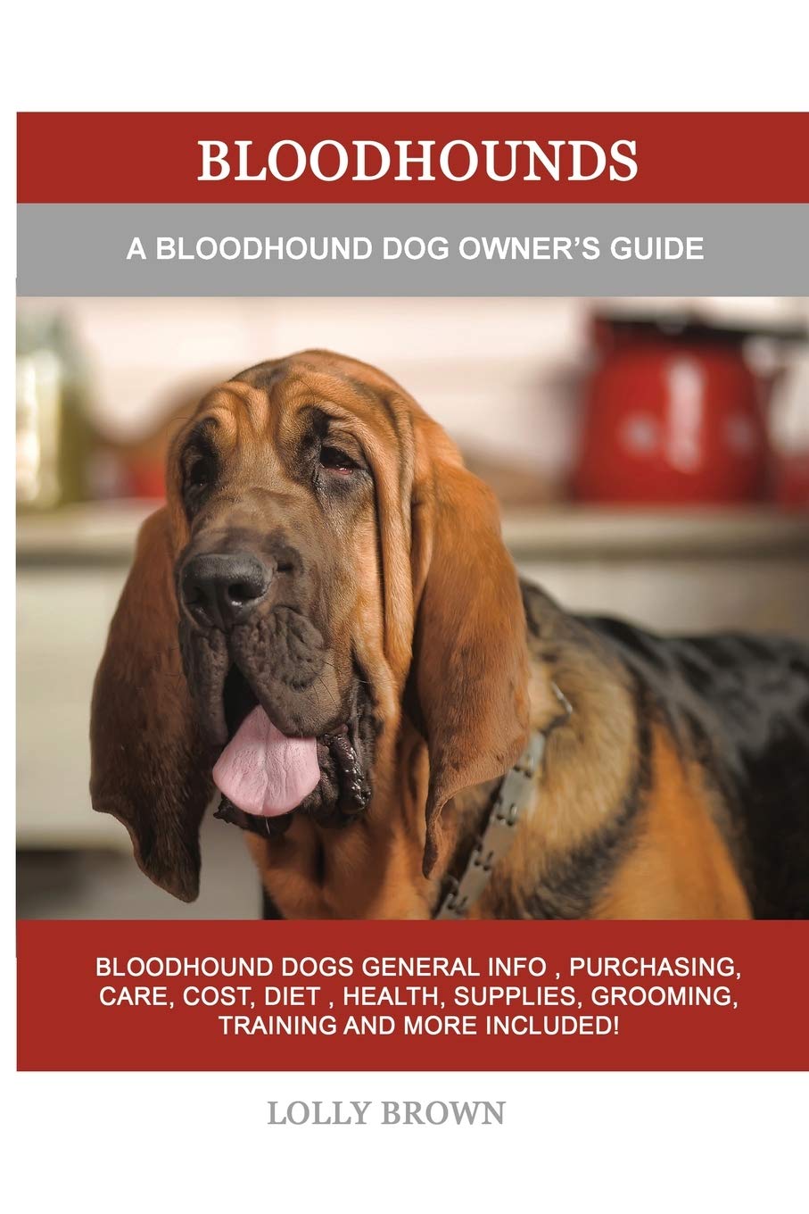 Bloodhounds A Bloodhound Dog Owners Guide Desertcart Seychelles