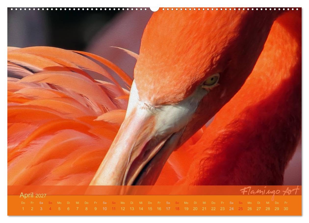 CALVENDO - Flamingo Art 2027 (Wandkalender 2027 DIN A2 quer), Monatskalender: Flamingo Art - Ein absoluter Blickfang im Büro und zu Hause