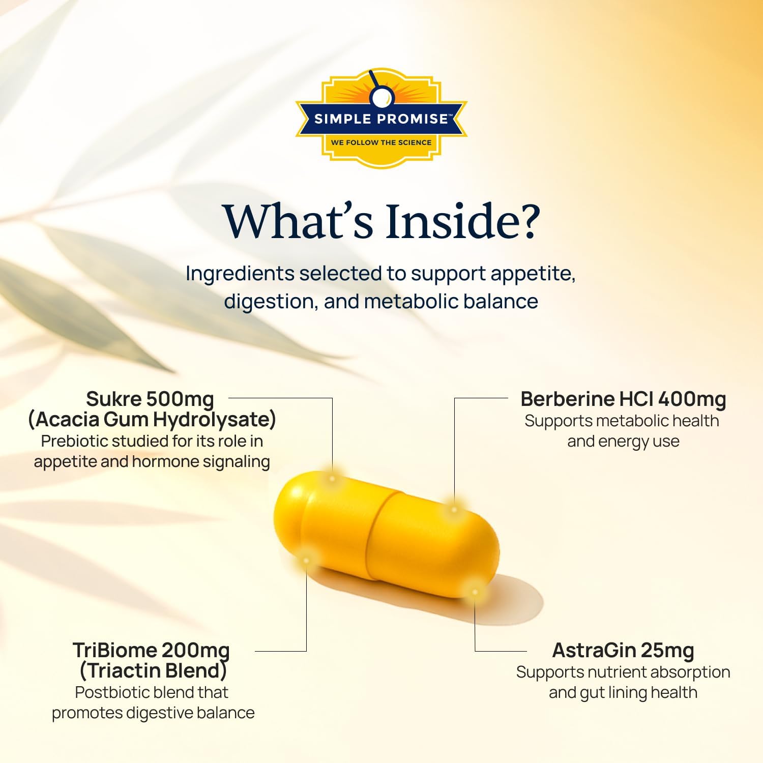 Daily GLP-1 Booster Weight Management