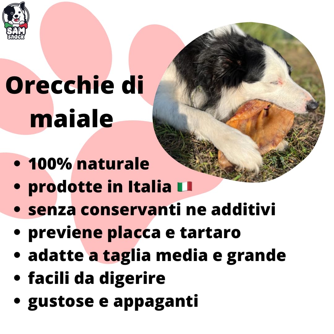 Sam Snack Orecchie di Maiale XL masticativi premium per cani 100% Naturali 3 PZ