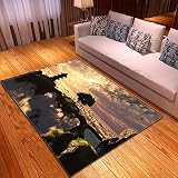✿Fácil de cuidar: esta alfombra lavable es fácil de limpiar, simplemente aspírela o lave a máquina en agua fría. Limpie con jabón suave y nunca use lejía.