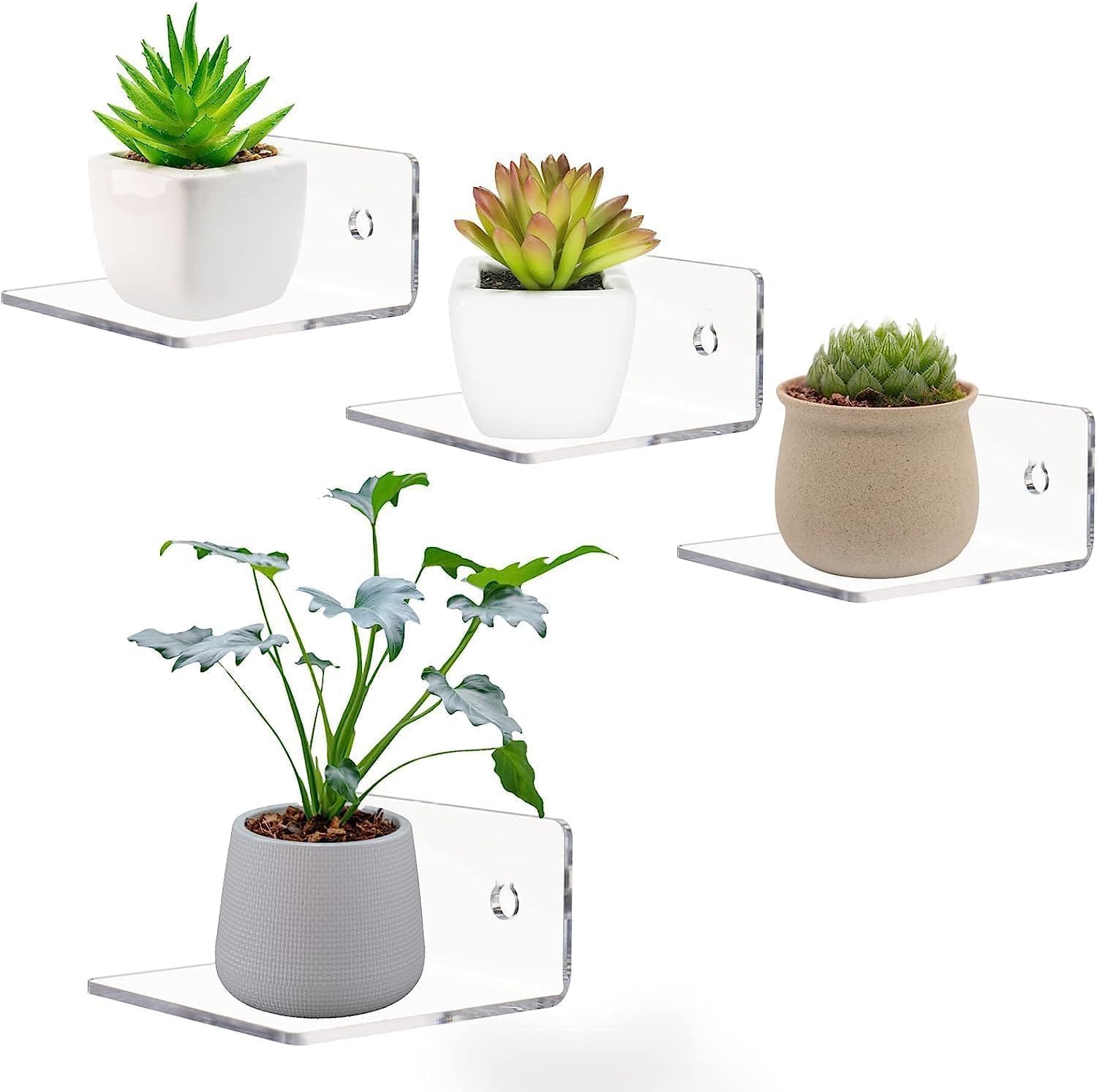 Floating Shelves for Wall Storage and Display | Plant & Decor Display, Screw Mount, Bathroom Compatible, Transparent Finish, Small Space Storage-image-16