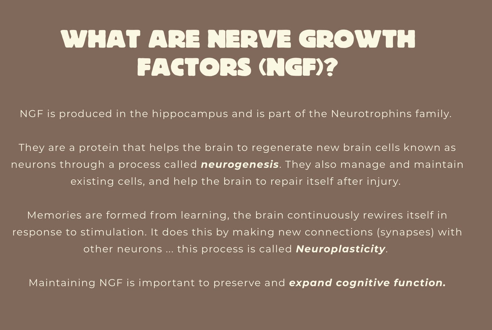 Nerve Growth Factor (Full Spectrum Lion's Mane & Rhodiola) 60 x 500mg Natural Brain Supplement
