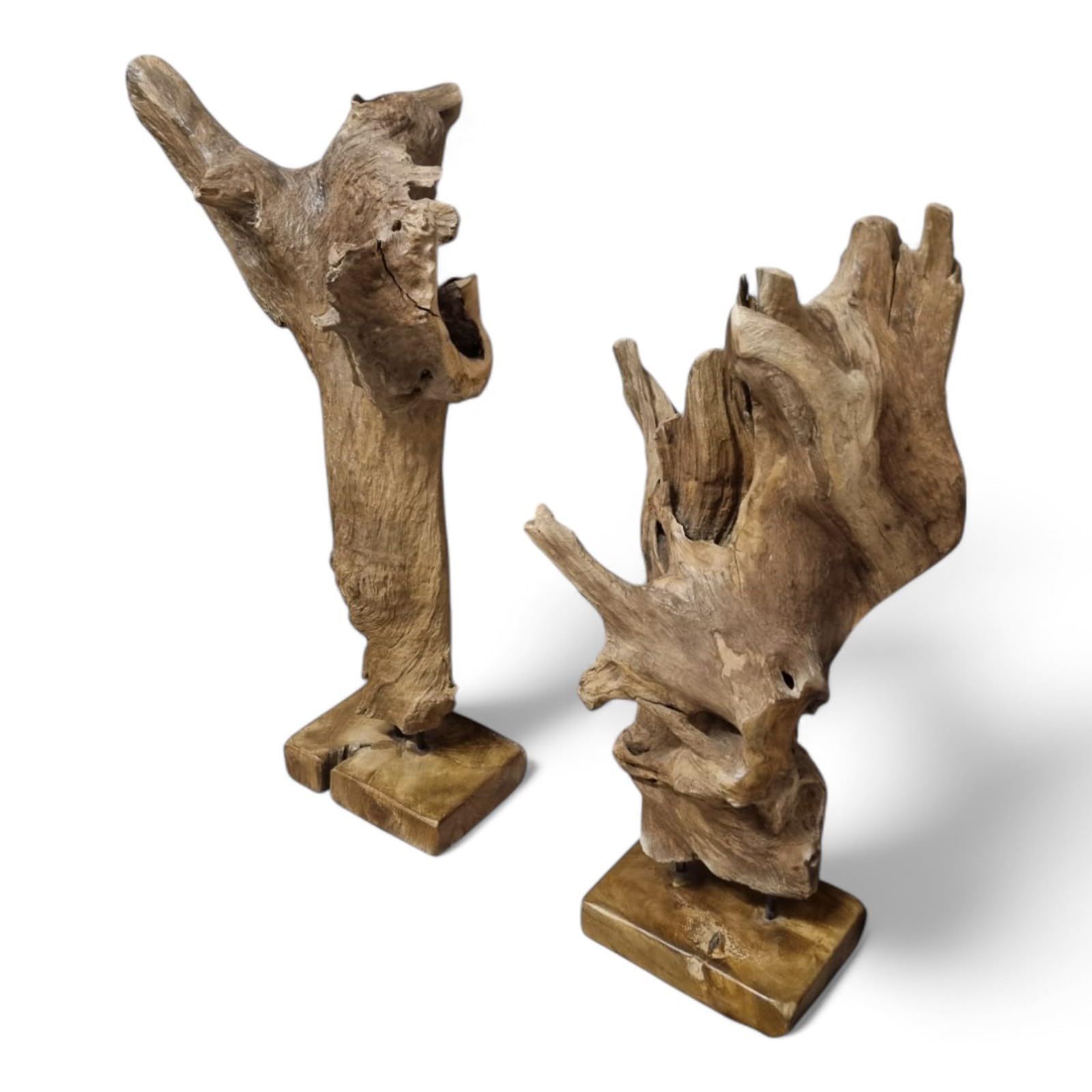 Kinaree Teak Wurzelholz Skulptur 70–90 cm – Handgefertigte Deko aus Massivholz auf Holzsockel, natürliche Wurzel-Skulptur aus Indonesien – Unikat für Wohnzimmer & Flur