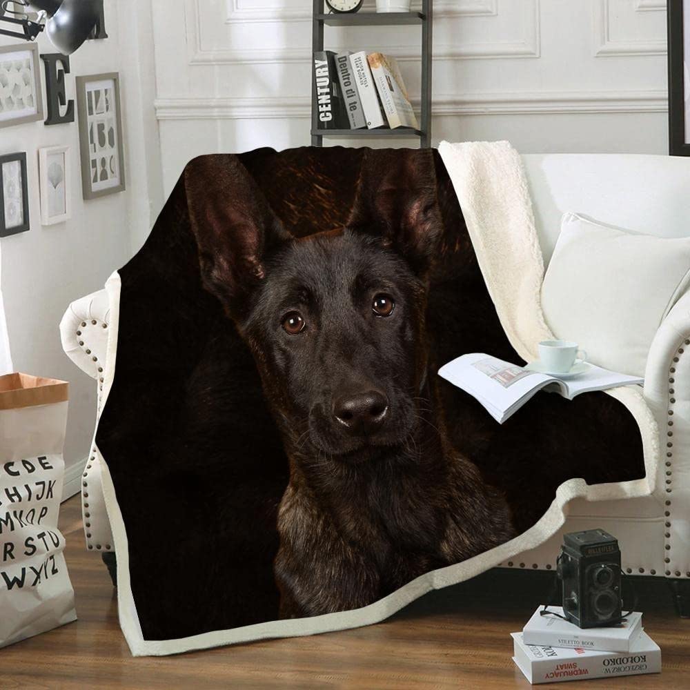 Black Malinois flanelowy koc na łóżko king size, 230 x 270 cm, koc z mikrofibry dla dorosłych i dzieci, miękki, lekki koc na łóżko na cały sezon, puszysty, gruby koc