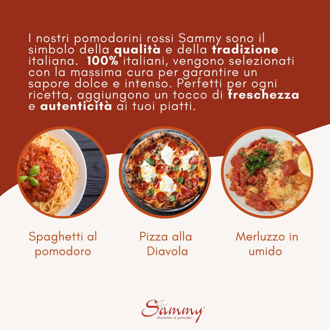 SAMMY - Passata di Pomodoro, Ideale per Sughi e Piatti Gourmet, 100% Filiera Italiana, Gusto Dolce e Intenso, 24 Pezzi in Latta da 400gr