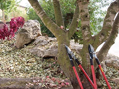 TABOR TOOLS GG11E Professional Compound Action Bypass Lopper,  4.5cm Clean-Cut Capacity, Tree Trimmer with Sturdy Handles for Extra Leverage