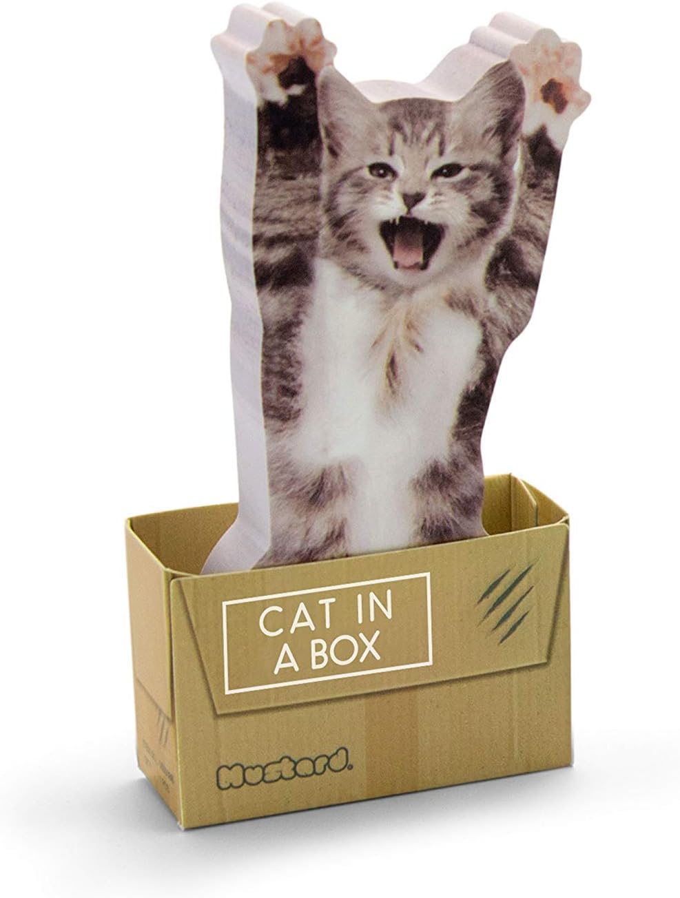 Mustard Sticky Post Notes Memo Pad - Cat In A Box