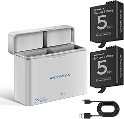 REYGEAK 2 Pack 2100mAh Batteries & PD Quick Charge Chargi…