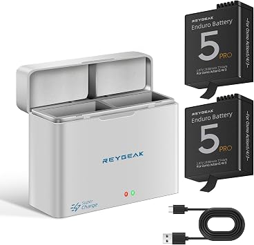 REYGEAK for DJI Osmo Action 6 Battery and Charger,2100mAh Replacement Battery for Action 5/4/3 with Dual Charger Hub, 2 Pack Portable Battery for DJI Osmo Extend Batteries Accessories