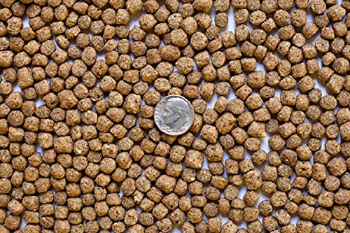 America's Best Koi Food 20 Lbs Koi Fish Food 3/16 Inch - 1/4 Inch Large Floating Pond Pellets - Heavy Duty Sealed Bag #TOP17
