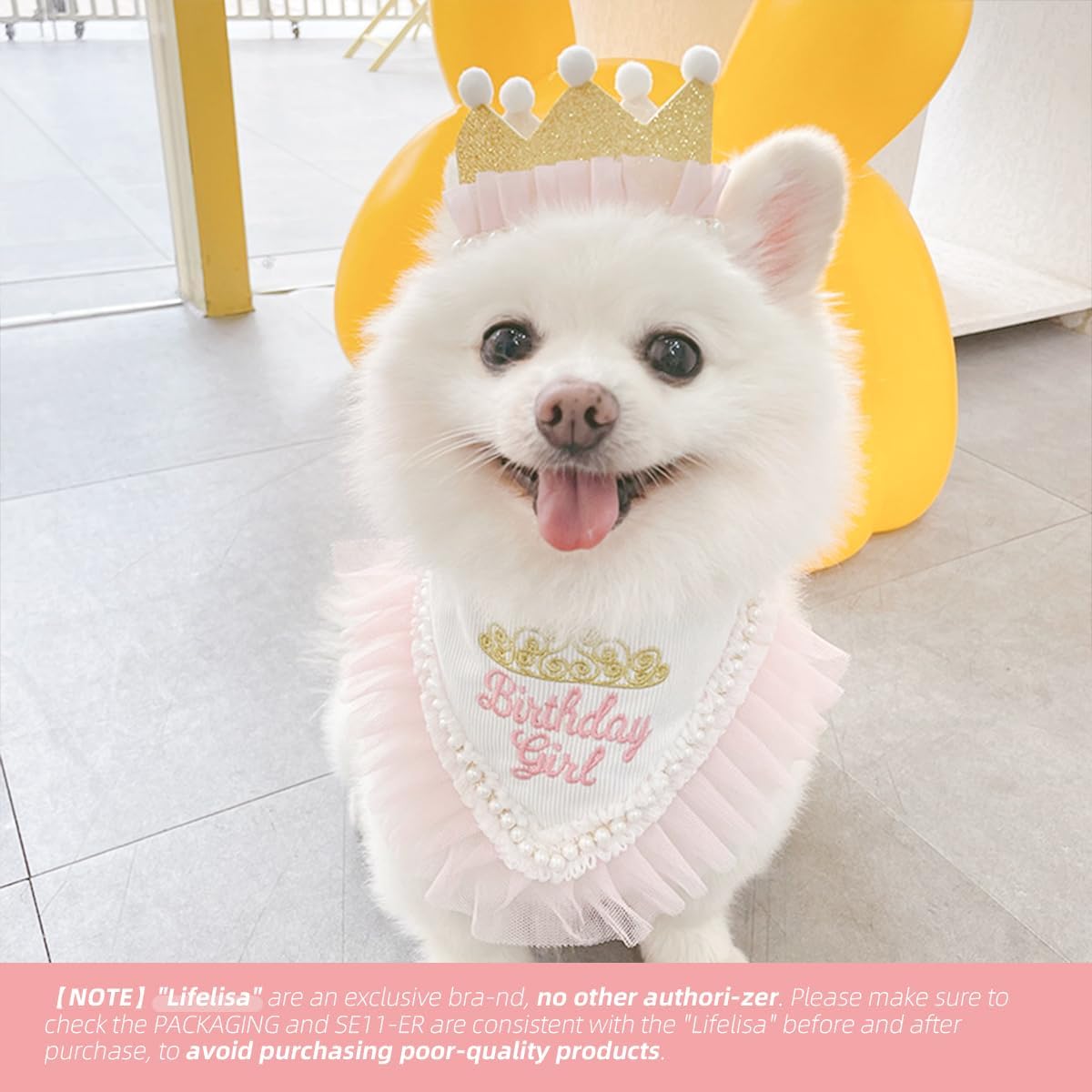 Princess Dog Crown Hat Scarf Set, Dog Birthday Hat Dress Outfit, Wedding Party Supplies for Girl Cats and Small Mini Dogs (GoldPearl) image 4