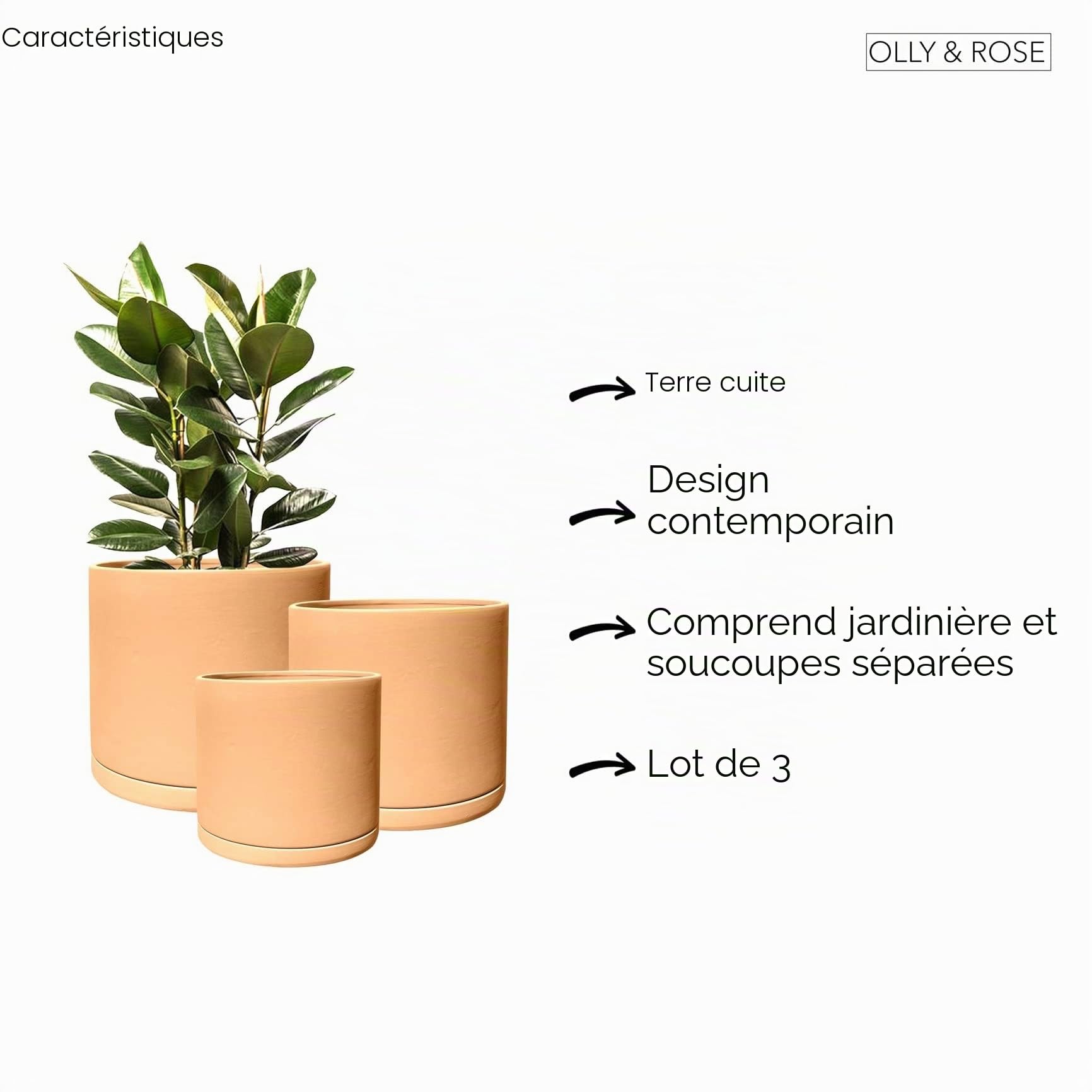 Olly & Rose Rome Lot de 3 Pots de Fleurs Ronds en Terre Cuite avec soucoupes pour intérieur et extérieur
