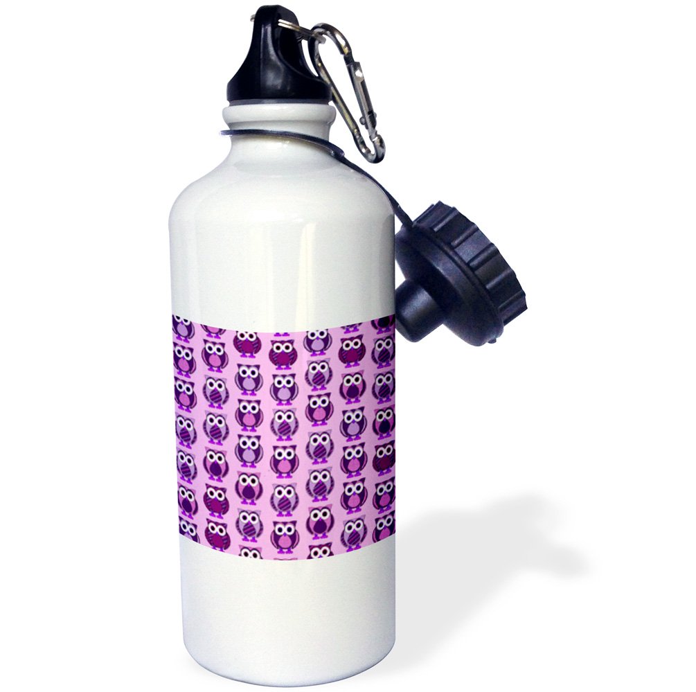 3dRose Cute Purple Shiny Lips Design 21 Oz Stainless Steel Water Bottle With Straw & Carabiner - View #8