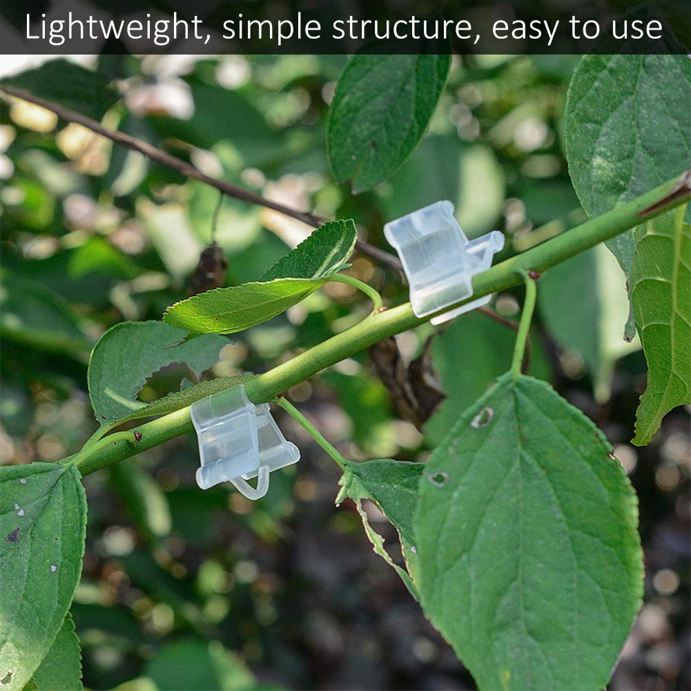 Clip per Innesti Giardinaggio Flower Clip di Plastica Clips di Vite Sostegno per Piante Clip di Supporto per Piante da Giardino Innesto Attrezzi da