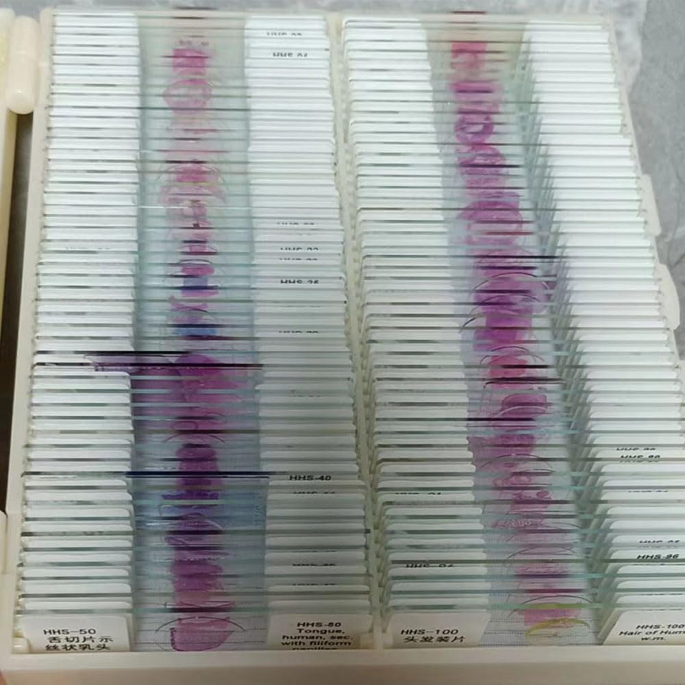 Human Histology Prepared Slides Biology Education 100 Piece Human ...