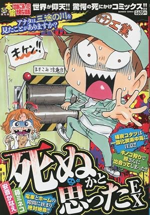 Amazon.co.jp: ちび本当にあった笑える話 ヘンテコ家族 (ぶんか社