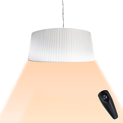 Paragon Outdoor Sol Calentador eléctrico para patio, montaje en techo, lámpara de calor infrarroja de 1500 W para interiores y exteriores,