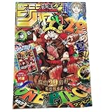 付録完備