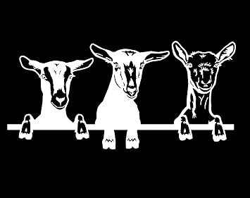 Goats in A Row Cute Funny MKR Decal Vinyl Sticker |Cars Trucks Walls Laptop| White | 7.5 x 3.5 in|MKR2355