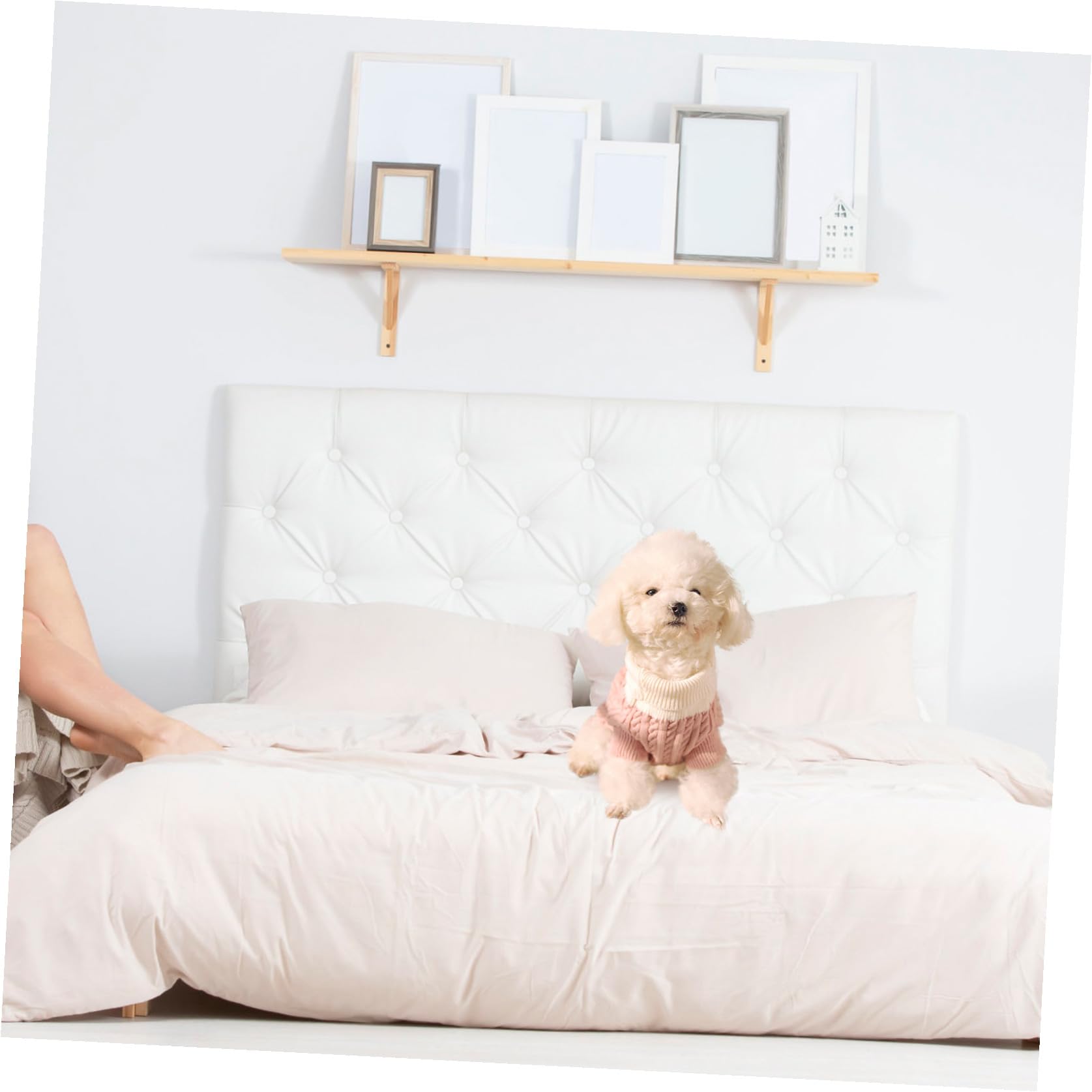 Sosoport 3pièces Pull pour Chiens avec Vêtement Hiver pour Chiens Petits Costume Confortable Et