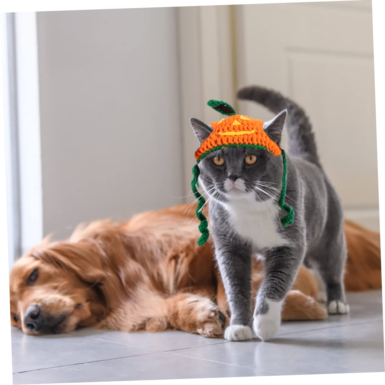 3 Pz cappello di zucca berretto di zucca costume da compagnia cappello da cane costume da cane accessorio autunnale abbigliamento per animali domestici filato