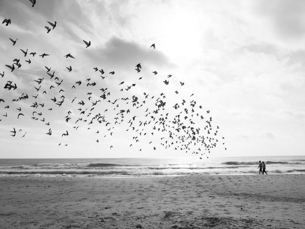 The best lense I own across every platform, hands down.