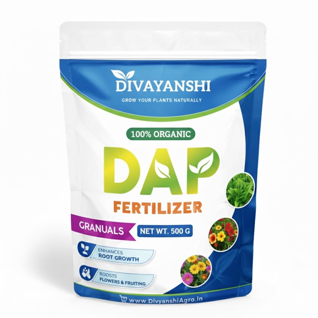 Divayanshi Organic DAP Fertilizer for Plants (500g) — Phosphorus Root & Growth Booster