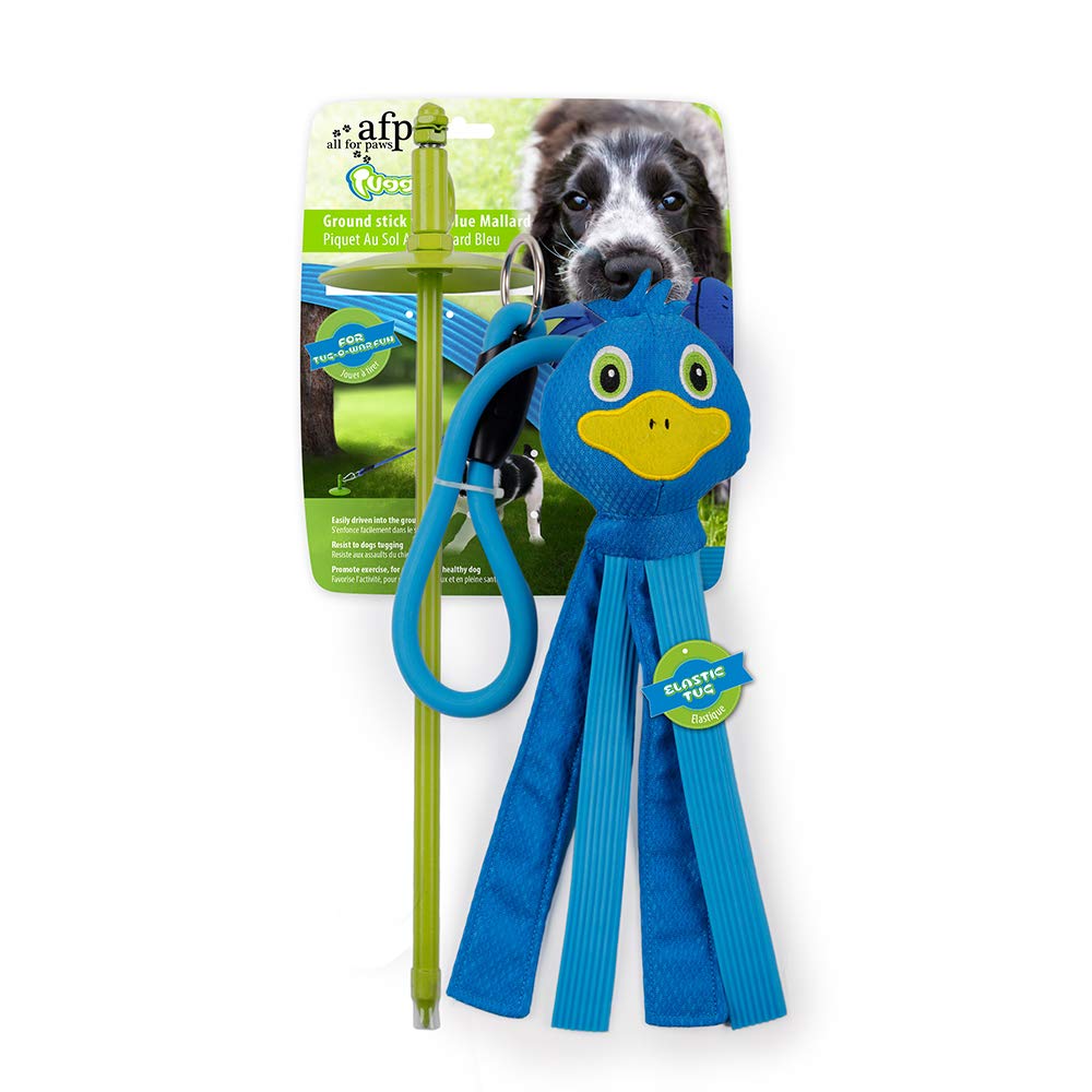 All For Paws Dog Extendable Teaser Wand Pet Flirt Stick