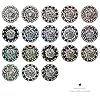 BS9188 Coloma Antique Silver Berry Rhinestone Crystal Concho (BS9188-1-LASRP, Lt Rose-1") #2
