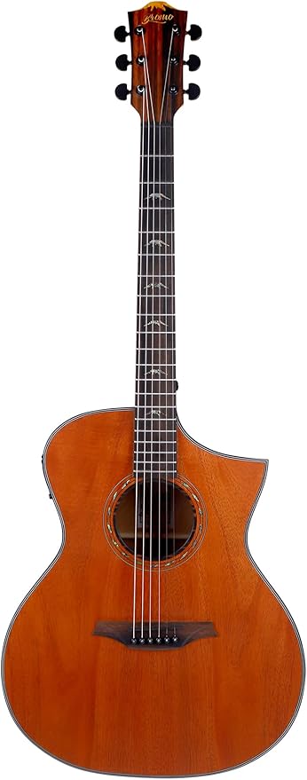 Amazon.com: Bromo BAT 4MCE SG Solid Top Dreadnought Acoustic Guitar ...