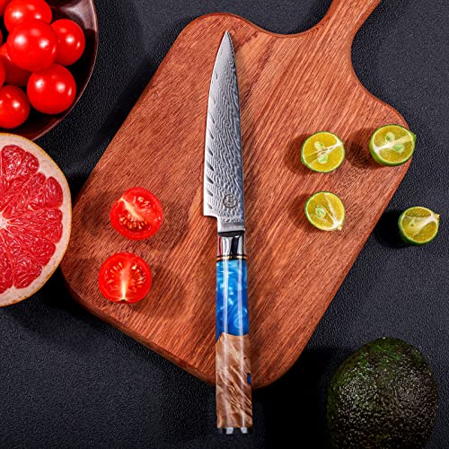 Fukep Kitchen Utility Knife, 5 Inch Paring Knife Sharp-Edged Damascus Paring Knife Vg10 Core Steel With 66 Layers High Carbon Steel - Ergonomic Blue Handle - Small Fruit Knife #TOP1