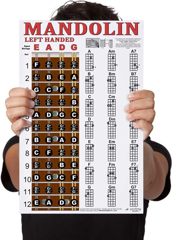 Laminated Left Handed Mandolin Chord & Fretboard Note Chart Instructional Easy Poster for Beginners Chords & Notes A New Song Music 11x17