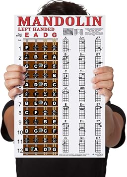 Laminated Left Handed Mandolin Chord & Fretboard Note Chart Instructional Easy Poster for Beginners Chords & Notes A New Song Music 11"x17"