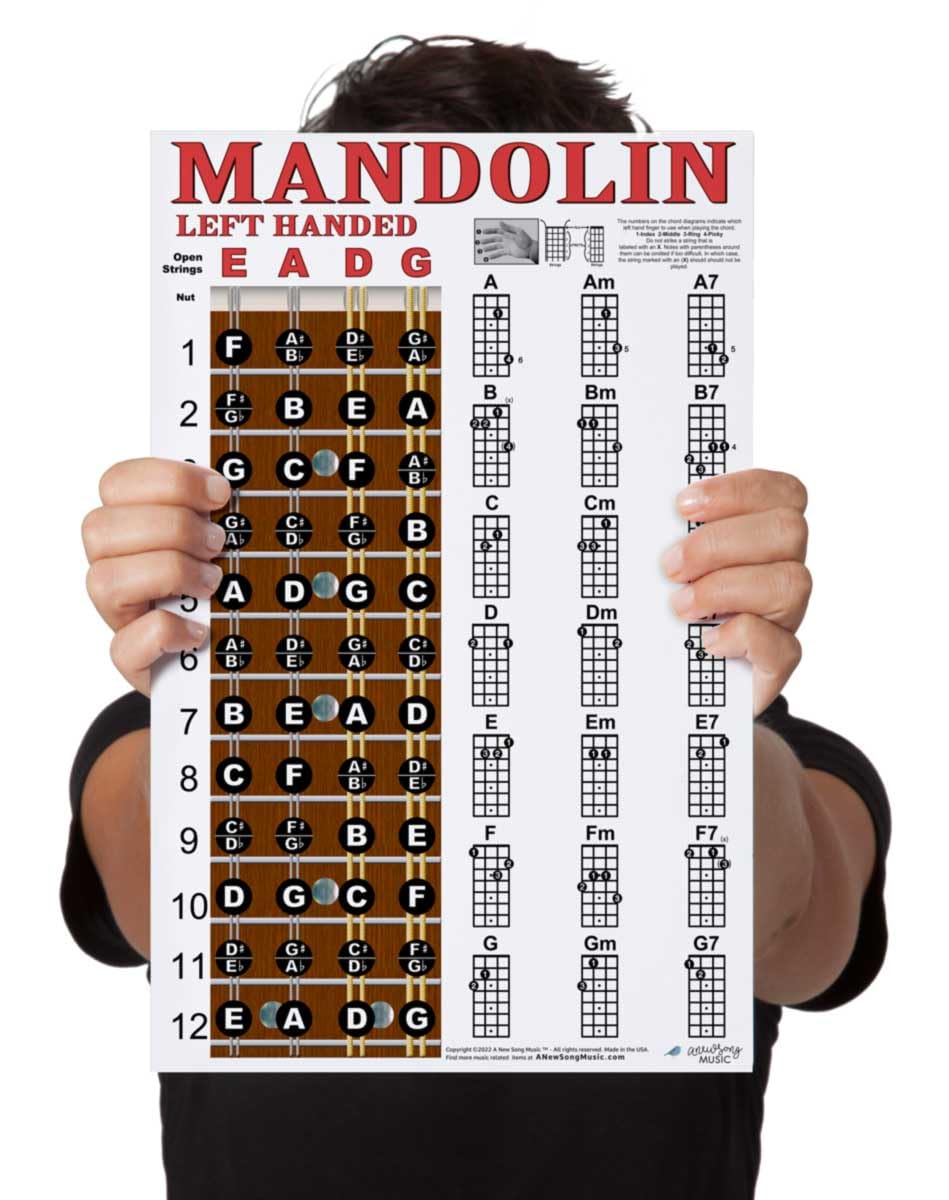 Laminated Left Handed Mandolin Fretboard and Chord Chart 11x17 Instructional Poster : Amazon.in ...