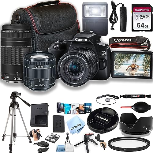 Canon EOS 250D / Rebel SL3 fW^჌tJ EF-S 18-55mm F/4-5.6 STMY[Yt + 75-300mm F/4-5.6 IIIY + 64GB  P[X Or tbV RȂ