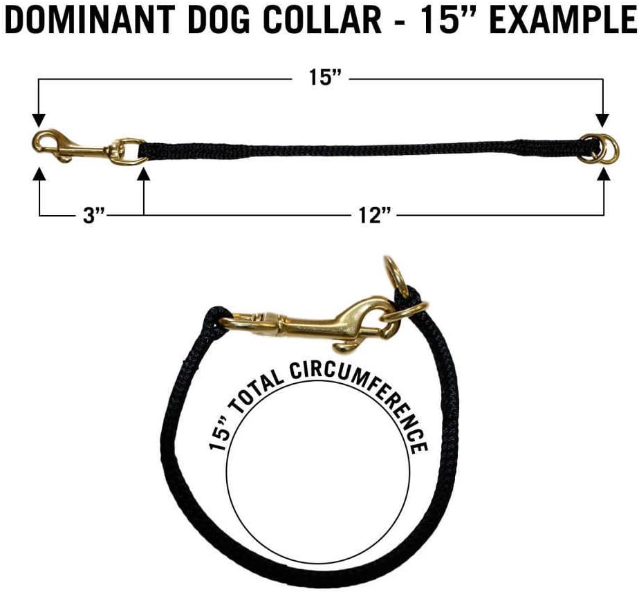 dominant dog collar