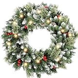 HipTree 24 Inch Christmas Wreaths for Front Door with Lights,Lighted Artificial Flowering Pine Door Wreath,Prelit Faux Green Winter Wreath with Pine Cones and Red Berry for Indoor Outdoor Decor