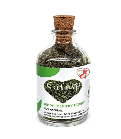 Kitty Flex Natural Attractive Mint Fragrance Funny Playing Catnip Cats Natural Attractive Mint Catnip Pack of 1