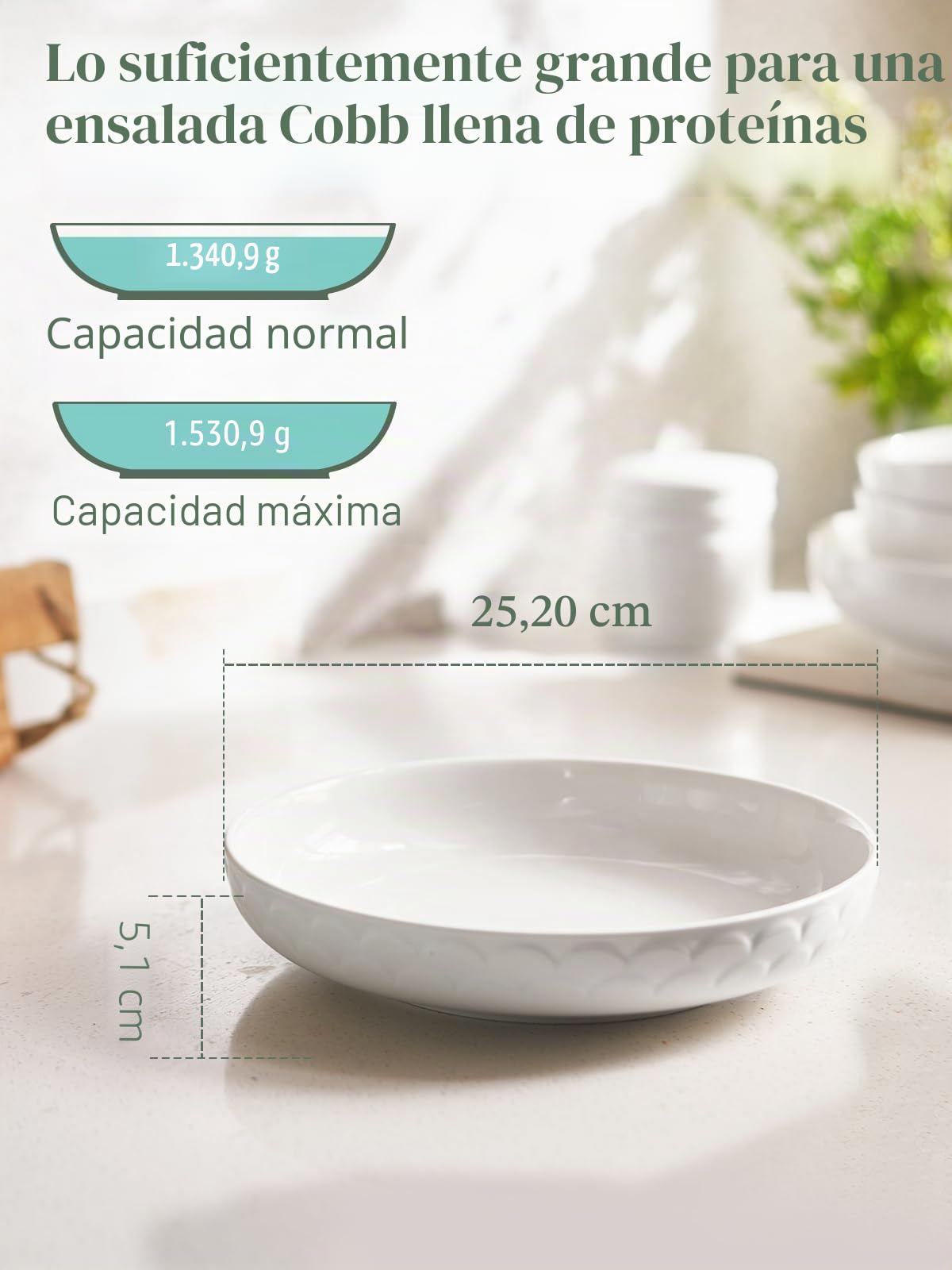 DOWAN Plato de Pastas, Plato para Ensalada de Porcelana, Ensaladera Ceramica, Tazones Desayuno Grandes, Cuencos de Servir, Cuencos Sopa, Bowls Cocina, Apto para Lavavajillas, Microondas-Φ 25cm/1400ml