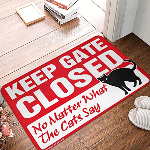 Tapis d'extérieur imperméable et antidérapant de 50 x 80 cm