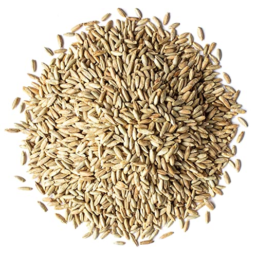 Food to Live Organic Rye Berries, 5 Pounds – Non-GMO, Kosher, Raw, Bulk Seeds, Product of the USA - Thumbnail 3
