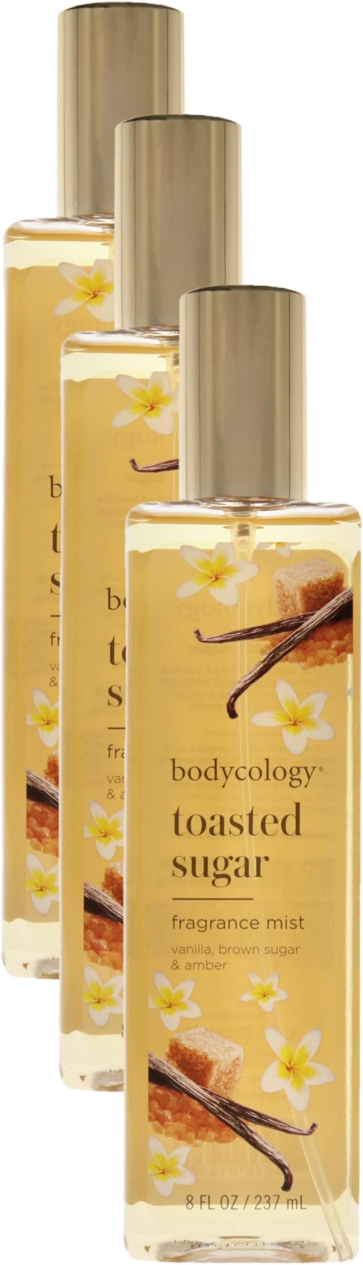 Bodycology Toasted Sugar Fragrance Mist for Women, 8 Fl Oz (455004008) (Pack of 3)