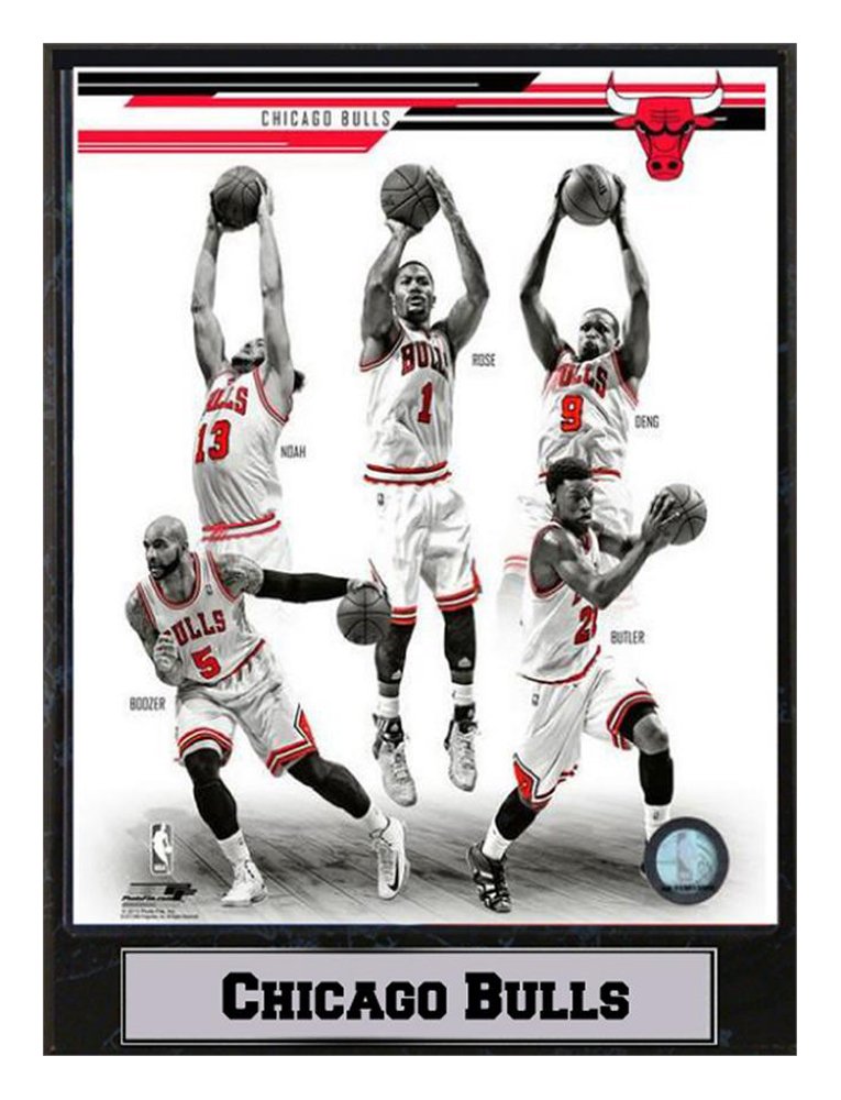 Encore Select 512-05 NBA Chicago Bulls Plaque Sports Memorabilia with Custom Metal Name Plate, 9-Inch by 12-Inch