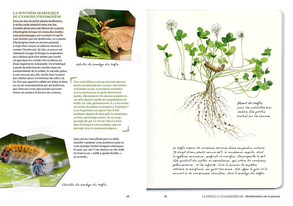 Le doryphore n'aime que les patates - 60 chroniques de végétaux, d'insectes et autres petites bestioles du jardin