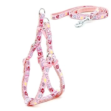 KUTKUT Adjustable Without Choke and Pull | Floral & Heart Print | Puppy Girl/ Boy/ Dog Harness and Leash Set ( Pink, Size: S, Adjustable Chest:31-46 cm)