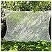 STTHOME Filet De Camouflage Blanc Grande Taille Militaire Renforce Tissus Pare-Soleil pour Patio Chasse Anti UV Décoration 2X3 3X3 3X4 3X5 4X4 5X5 6X6 6X8 M (Size : 3x10m)